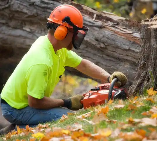 tree services Northampton